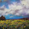 Coloured Fields